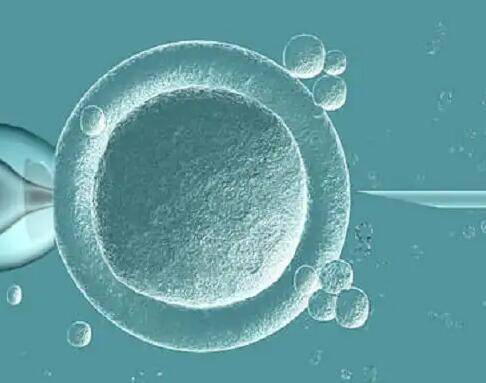 试管放2个胚胎的成活率不高，怎么才能提升?
