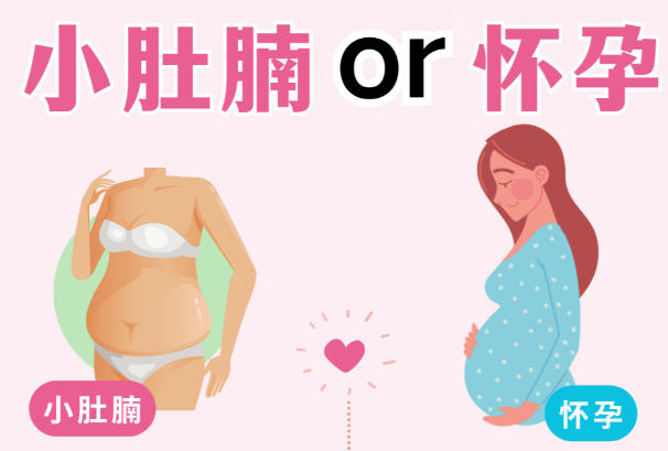 小肚腩和怀孕在外观上有差异