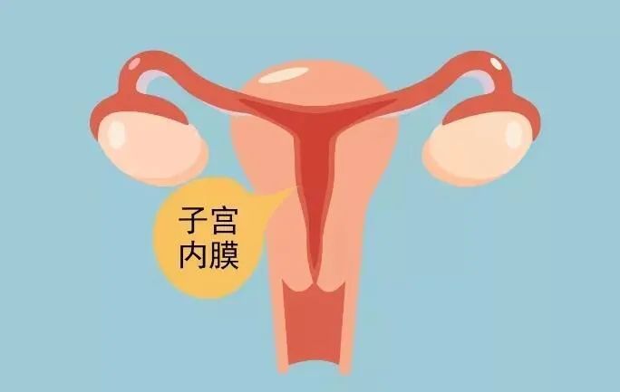 移植前子宫内膜变薄