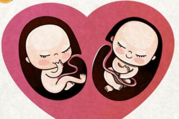 试管双胎会提高妊娠疾病的风险