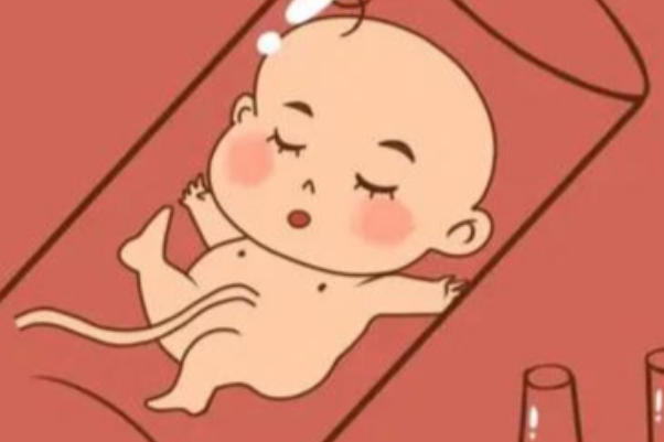 试管成功率受医生技术影响