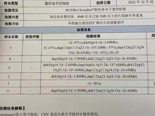 5种能看出怀男宝或女宝的试管方案，过来人帮你逐笔算清每一分钱