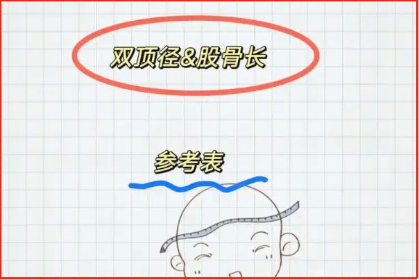 股骨长和双顶径不能准确判断胎儿性别