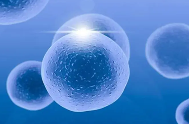 达不到冷冻级别的胚胎养囊能成功吗?生命是很神奇的!
