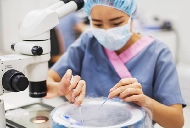 柬埔寨试管费用比人工授精高