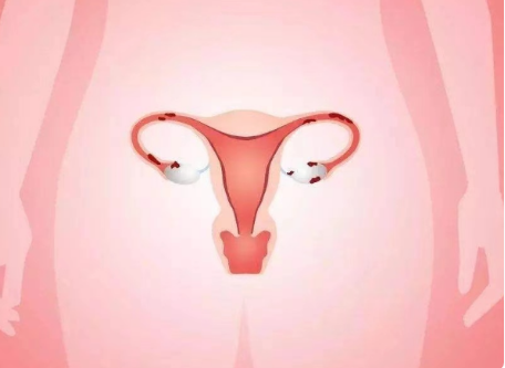 尿常规异常会影响胚胎移植手术