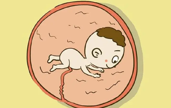胎儿横位是不正常的胎位