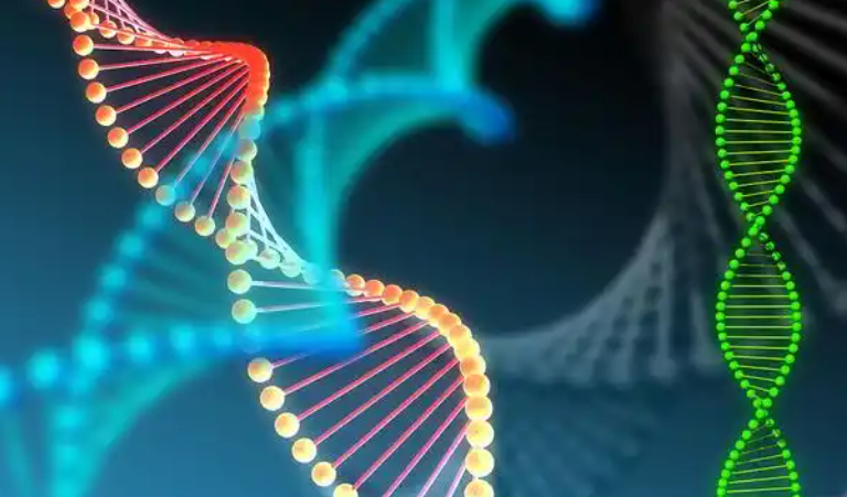 地中海遗传生男生女几率差不多