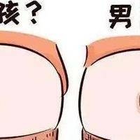 试管婴儿能选择男女性别吗？选性别要多少钱，过来人梳理几笔开销明细
