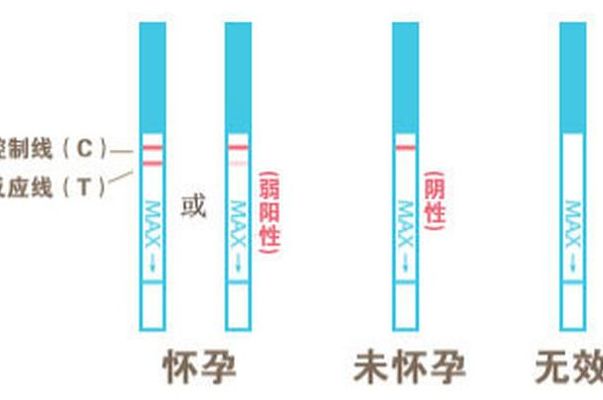 怎么怀孕的详细步骤？生殖中心咨询师把从排卵监测到验孕的全流程说透了