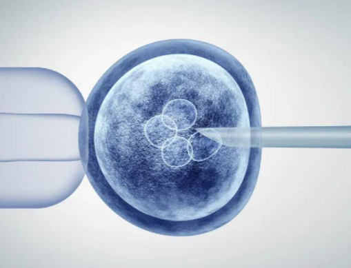 试管移植胚胎后会不会消失?着床失败的胚胎会去哪儿？