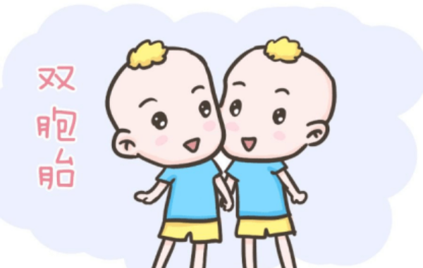 生双胞胎主要与家族遗传有关