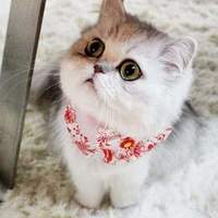 试管婴儿交流群用户头像