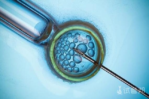 济南_试管_事件曝出，2026年做试管到底怎么走？一文讲透