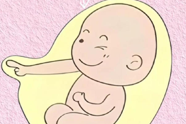 高龄生三胎经济压力大