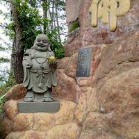 试管婴儿交流群用户头像