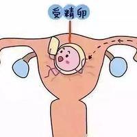 四十多岁试管婴儿反复失败？问题可能不在卵子而在这一步