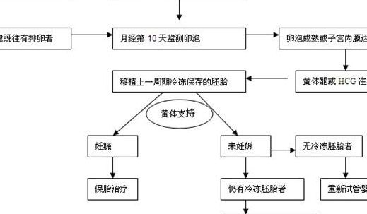 试管移植后多久能正常上班？关键看3点，三步给你说明白
