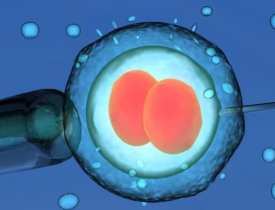 试管婴儿一般移植几个胚胎,移植2个成活率高吗？