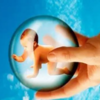 供卵试管生儿子生殖有影响吗,试管婴儿是有性生殖吗 子宫内膜炎会影响怀孕吗