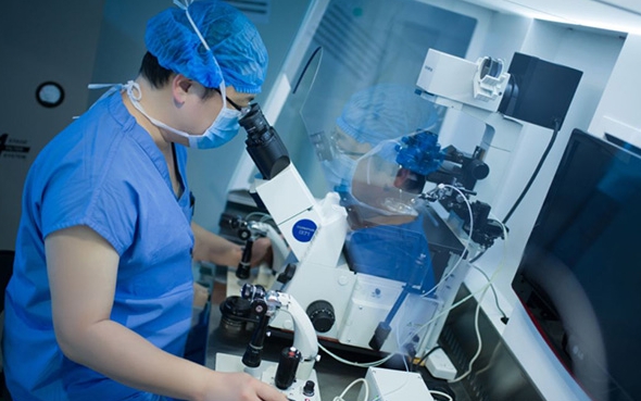 移植第三天囊胚着床成功