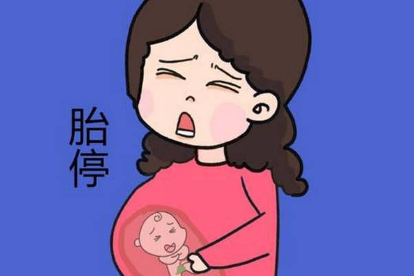 孕初期产检指标一切都好但38周突然胎停是胎儿缺氧吗？