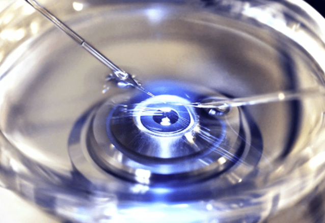 试管胚胎培养