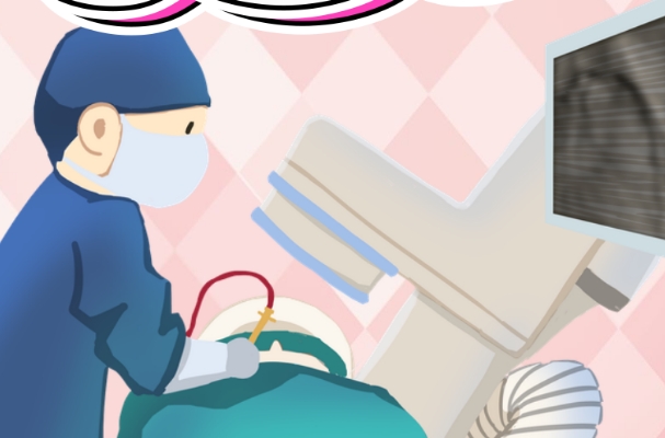 无创检测可以判断胎儿性别