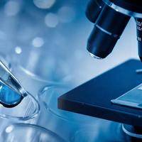 男性染色体检查价格?核心价格范围与检查类型对应