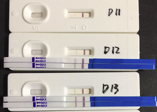 移植后正常试纸颜色加深