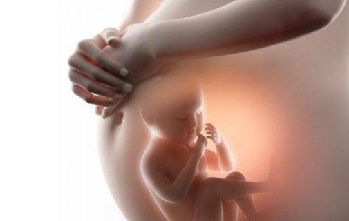 31周试管双胞胎早产成活率及保胎方法?