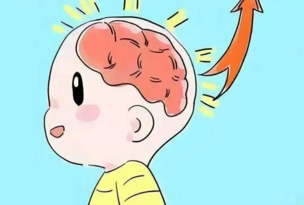 营养的补充可以促进胎儿大脑发育