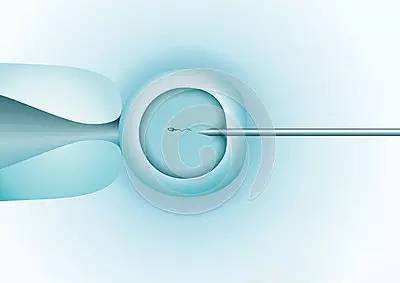 试管婴儿过程中多精受精怎么办？