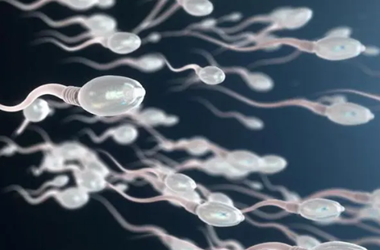精子活率多少才能做试管婴儿?怎么调理?