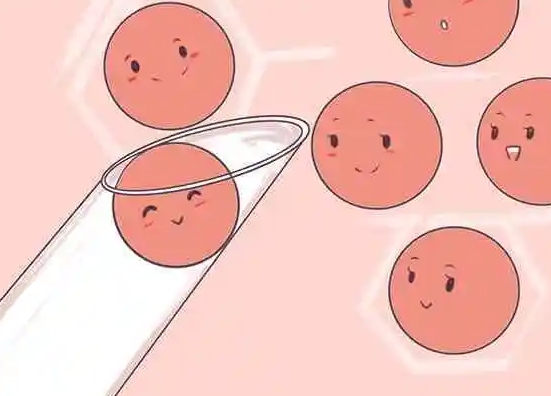 只取了5个卵泡做试管成功率高吗，选择哪种试管技术更加容易怀孕？