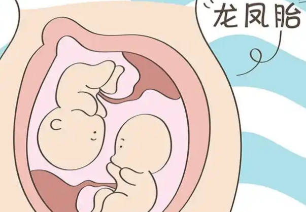 试管龙凤胎会增加妊娠风险