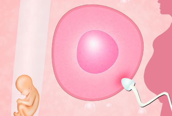 高龄女性可以去泰国<a href=