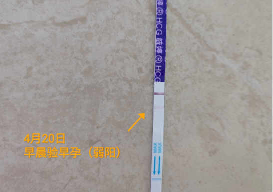 hcg可验出是否怀孕