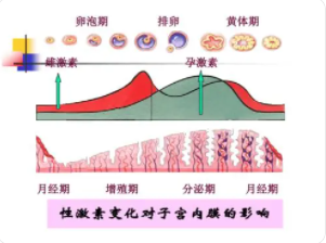 话题图标