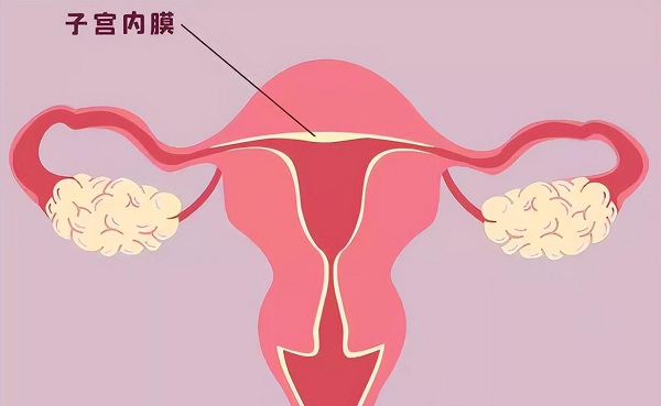 做3代试管移植鲜胚第十天才着床是正常情况吗？
