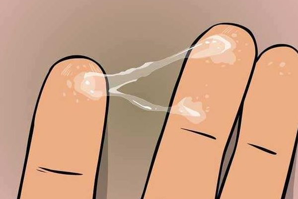 内裤突然湿一块是排卵