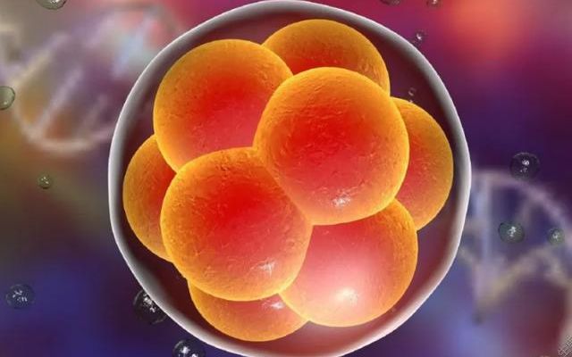 美国试管婴儿要多少时间移植：别把在美停留和全周期搞混了