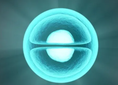试管鲜胚成功率90%可信吗？移植两个鲜胚成功率怎么样？
