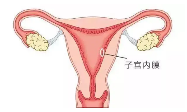 试管内膜达到标准数值方法