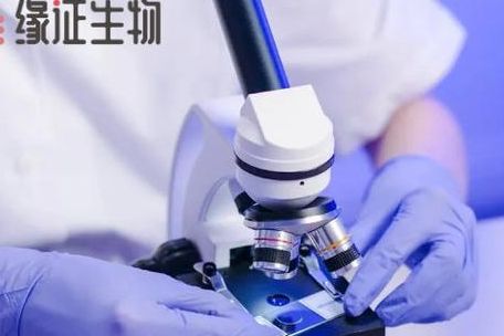 久和医院试管成功率新颖报告：数据背后的真实信号