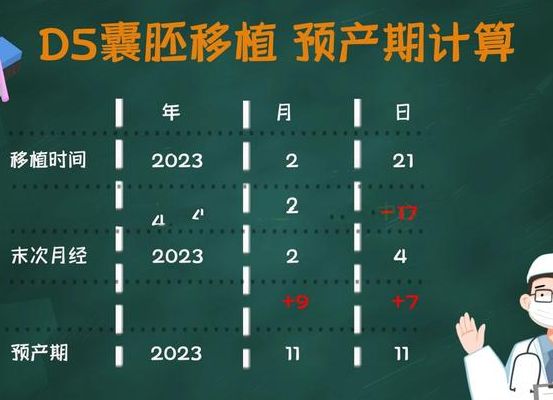 试管移植怎么算孕周期?从移植日倒推,D3和D5算法还不一样