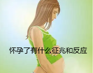 怀孕了有什么征兆和反应