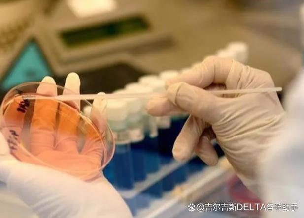 三代试管婴儿有生下来不健康的吗？2026年底BMJ重磅研究给出真实答案