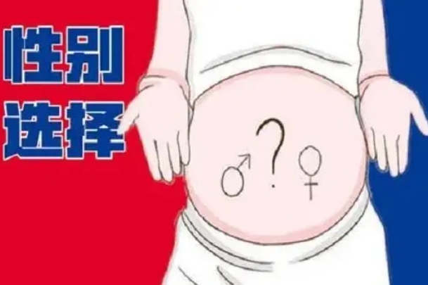 格鲁吉亚选性别不合法