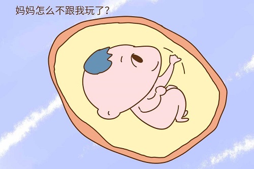 试管婴儿怀孕之后，孕妈妈也要学会观察胎动